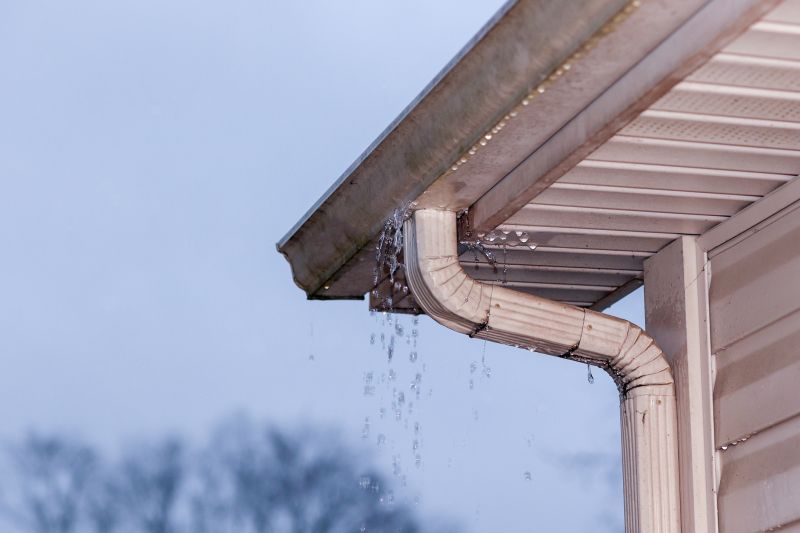 Gutter System Checkup